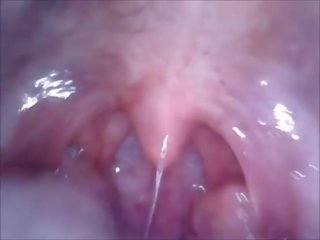 Kamera im mund vagina und arsch